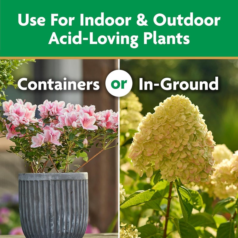 Miracle-Gro Water Soluble Azalea, Camellia, Rhododendron Plant Food - 5 lb Fertilizer for Acid-Loving Plants & Flowers - Image 5