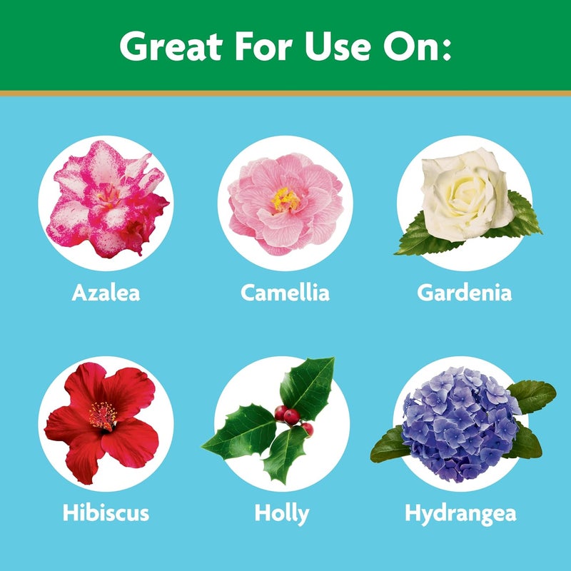 Miracle-Gro Water Soluble Azalea, Camellia, Rhododendron Plant Food - 5 lb Fertilizer for Acid-Loving Plants & Flowers - Image 4