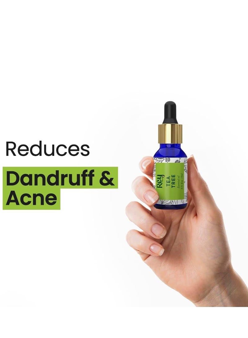 Rey Naturals Rey Naturals Pure Tea Tree Essential Oil | Tea Tree Oil For For Hair | Tea Tree Oil for face | Tea Tree oil for skin | Suitable For All Skin & Hair Types - 15ml  - Image 4