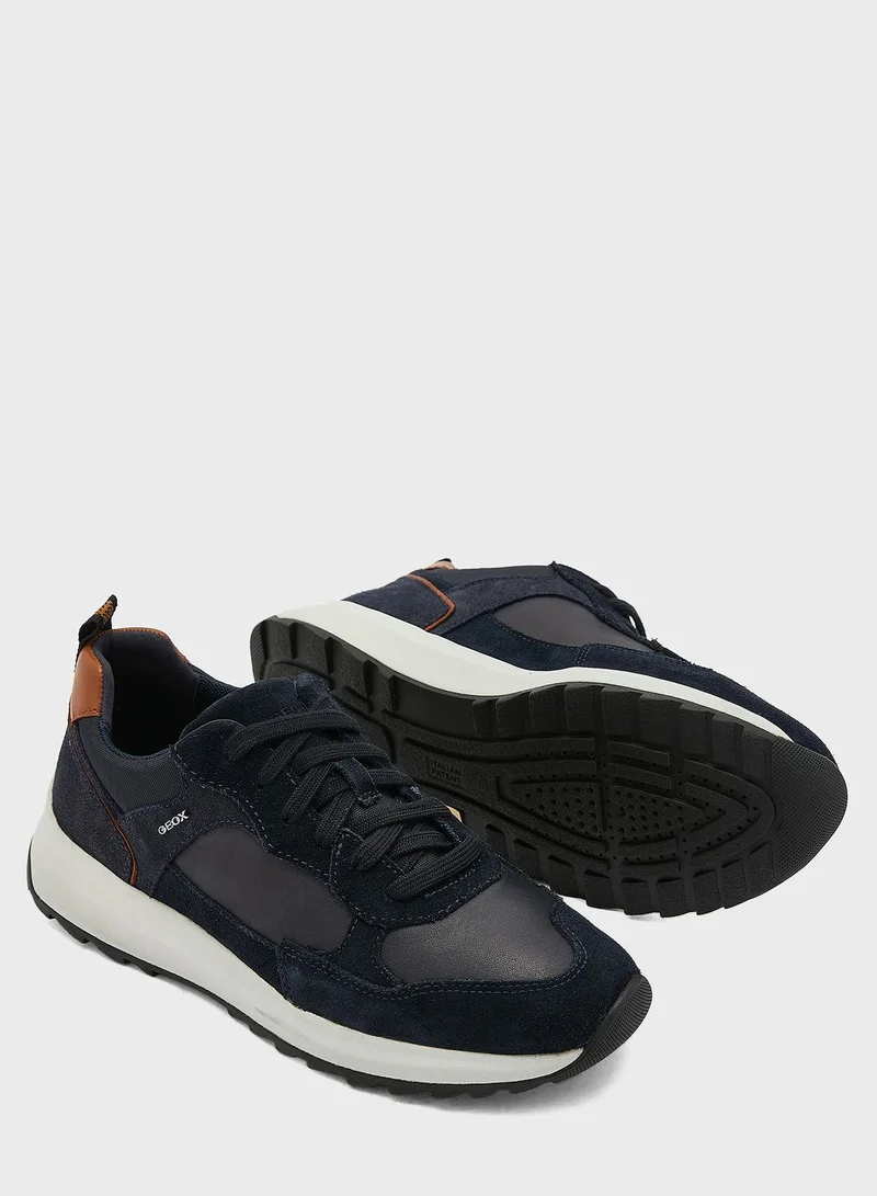 GEOX Titanio Low Top Sneakers