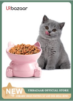 Ceramic Raised Cat Food Bowl, Tilted Elevated Cat Bowl, Anti Vomiting Cat Feeding Bowl for Cats and Small Dogs