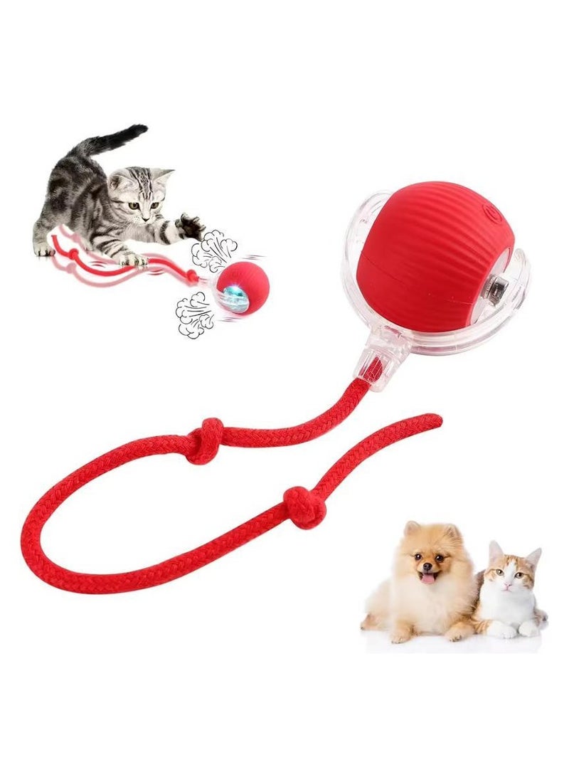 Gift for Pets, Electric Cat Ball Toy with Rope, Interactive Cat Teaser Toy, Automatic Rolling Ball Toy, Pet Supplies, Dog & Cat Accessories, Cat Toys  - Image 1
