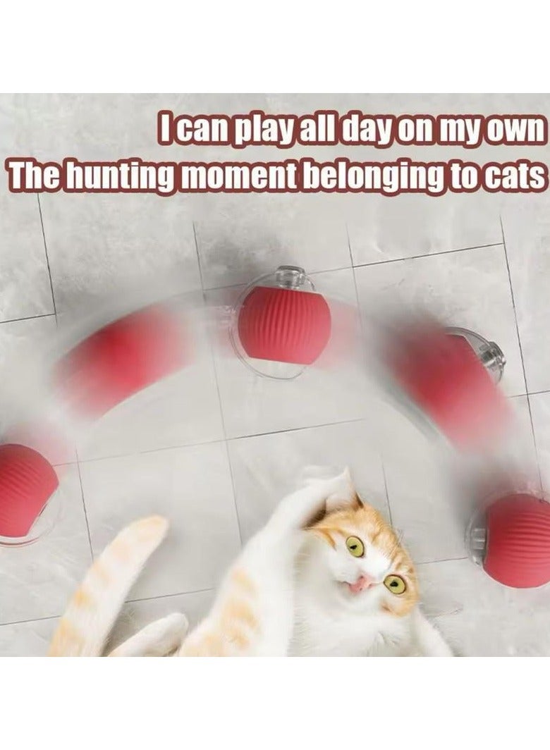 Gift for Pets, Electric Cat Ball Toy with Rope, Interactive Cat Teaser Toy, Automatic Rolling Ball Toy, Pet Supplies, Dog & Cat Accessories, Cat Toys  - Image 4
