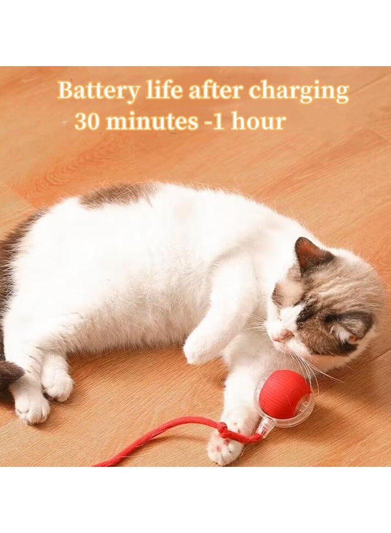 Gift for Pets, Electric Cat Ball Toy with Rope, Interactive Cat Teaser Toy, Automatic Rolling Ball Toy, Pet Supplies, Dog & Cat Accessories, Cat Toys  - Image 3