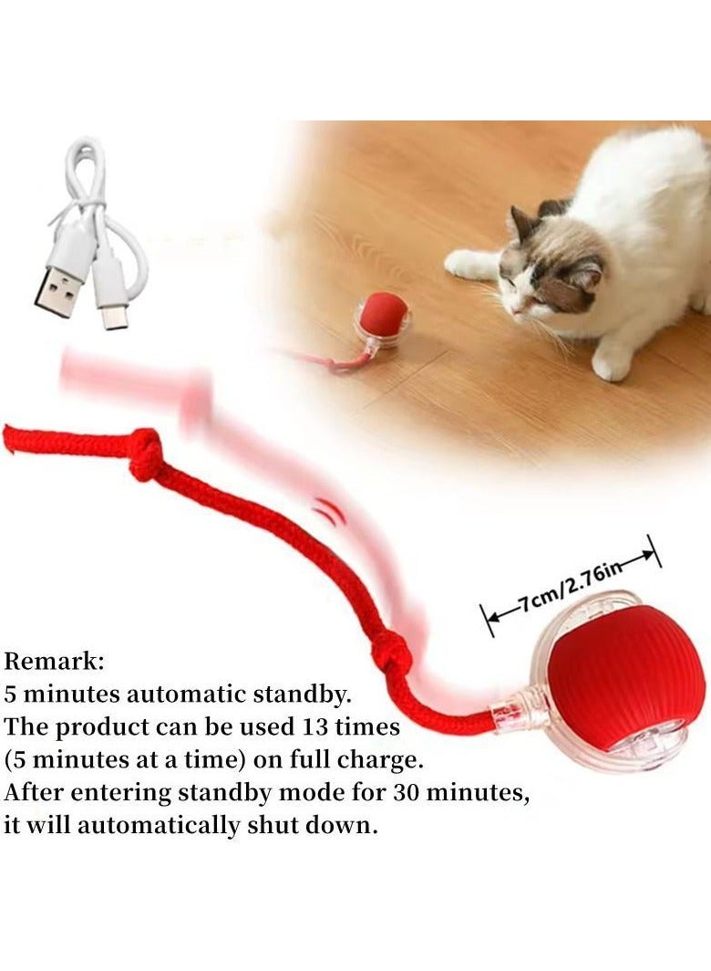 Gift for Pets, Electric Cat Ball Toy with Rope, Interactive Cat Teaser Toy, Automatic Rolling Ball Toy, Pet Supplies, Dog & Cat Accessories, Cat Toys  - Image 2