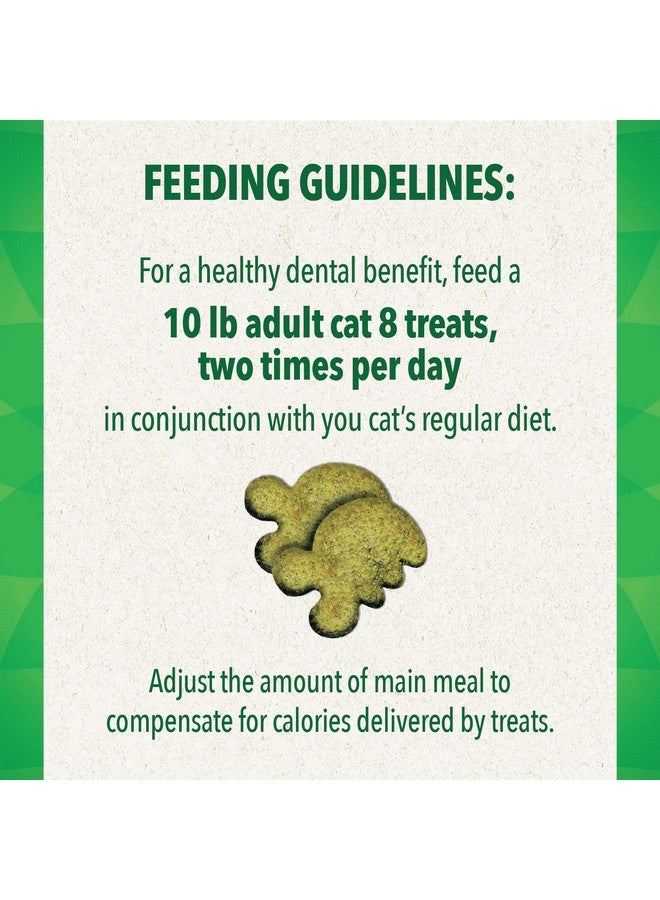 Greenies Feline Adult Natural Dental Care Cat Treats Savory Salmon Flavor, 21 oz. Tub - Image 5
