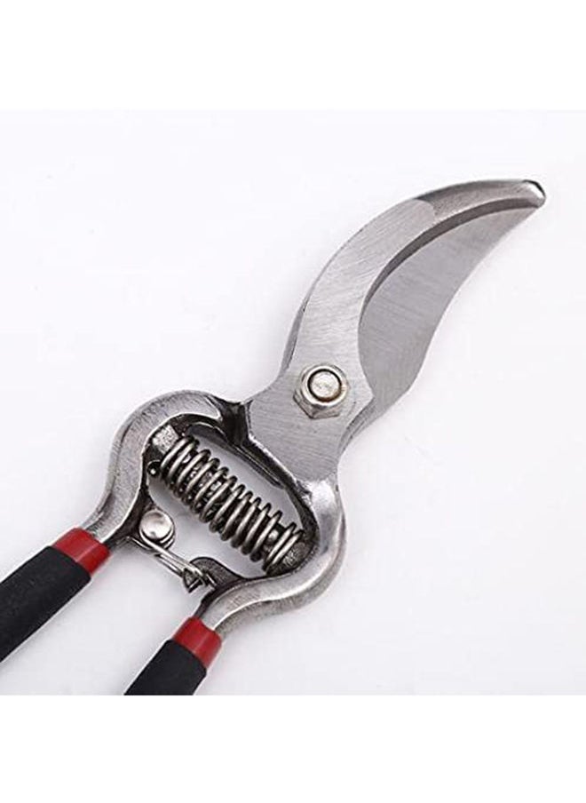 Generic - GardenMaster Stainless Steel Pruning Shear (8-inch) - Image 1
