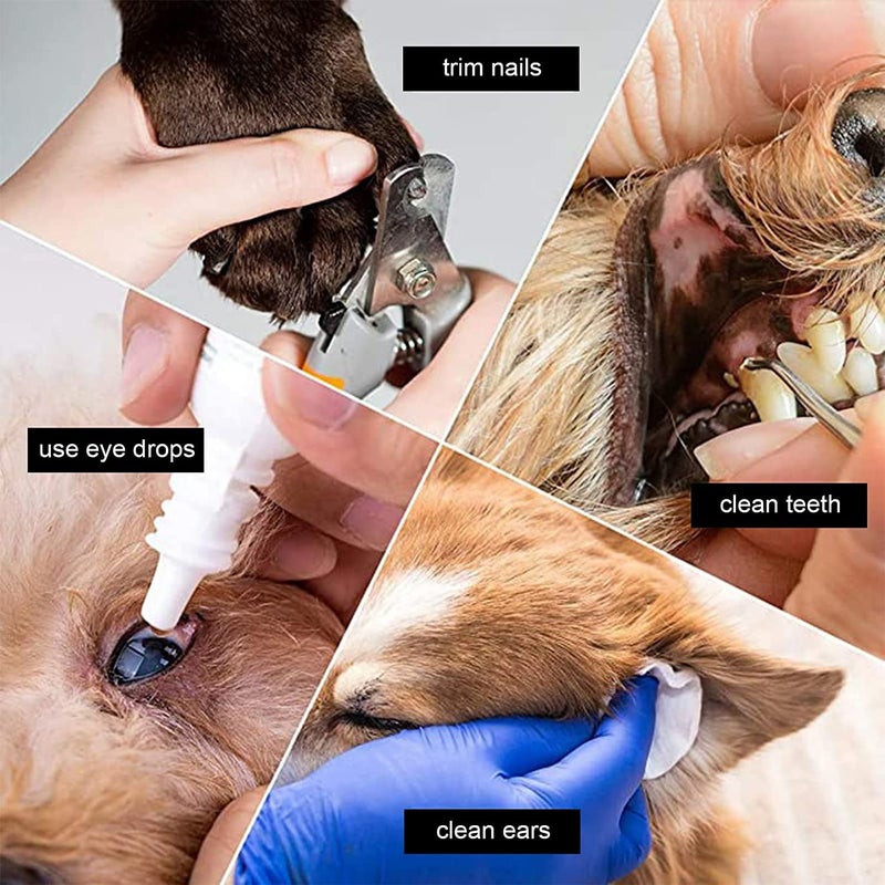 Glaceon Breathable Hammock for Cats and Dogs Pets Bathing Hammock Macrame Cat Hammock Dog Holder for Nail Trimming Cat Grooming Hammock Macrame Decor Portable Accessories - Image 4