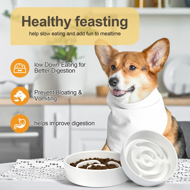 YUNLINLI 4-in-1 Ceramic Elevated Slow Feeder Dog Bowl Set, 6.3inch Dog Water Bowl and 5.9inch Slow Dish with Wooden Stand, Spill Proof Silicone Mat for Small and Medium Dog, Anti-Gulping (White) - Image 3