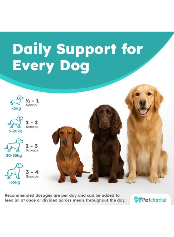 طبيب أسنان الحيوانات الأليفة مسحوق ألياف وبروبيوتيك بيت دينتيست للكلاب والقطط 500 جرام مع كو كيو 10 وفيتامين سي لدعم الهضم وتوازن الأمعاء والمناعة مكمل غذائي غني بالألياف المتعددة - Image 3
