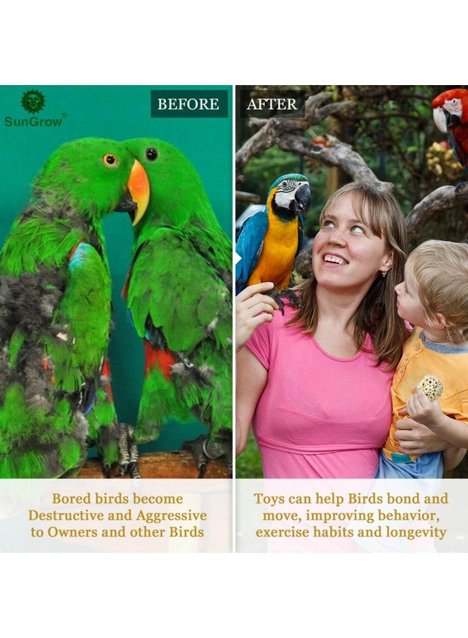 SunGrow Sola Atta Foraging Balls, 2”, White Soft Shred Parrot Chews, Bird Chewing Accessories For Conure, Budgie, Parakeet, Cockatiel, Rabbits, Hamsters, And Small Pets, 3 Pcs/Pack - Image 4