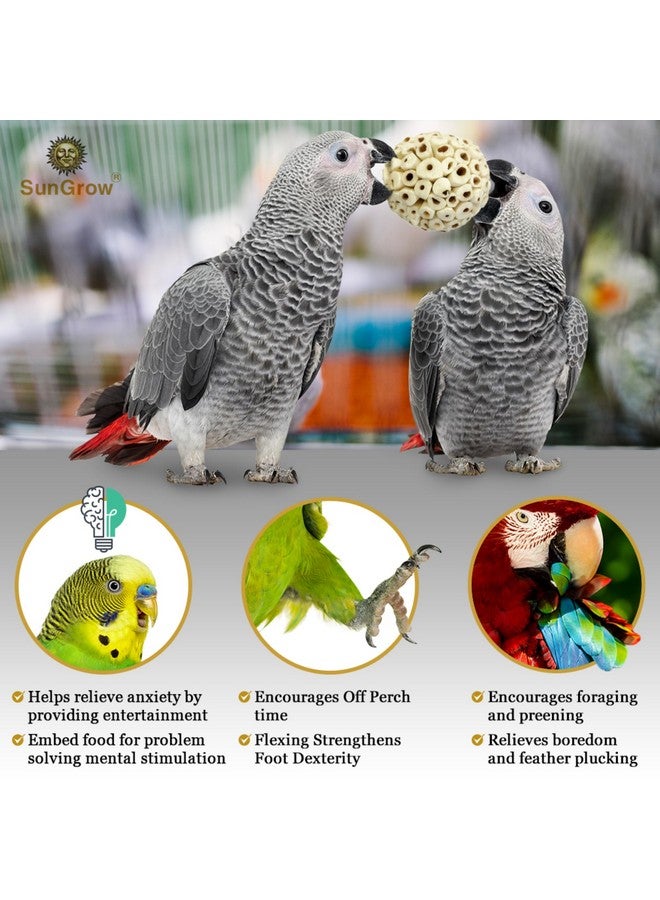 SunGrow Sola Atta Foraging Balls, 2”, White Soft Shred Parrot Chews, Bird Chewing Accessories For Conure, Budgie, Parakeet, Cockatiel, Rabbits, Hamsters, And Small Pets, 3 Pcs/Pack - Image 5