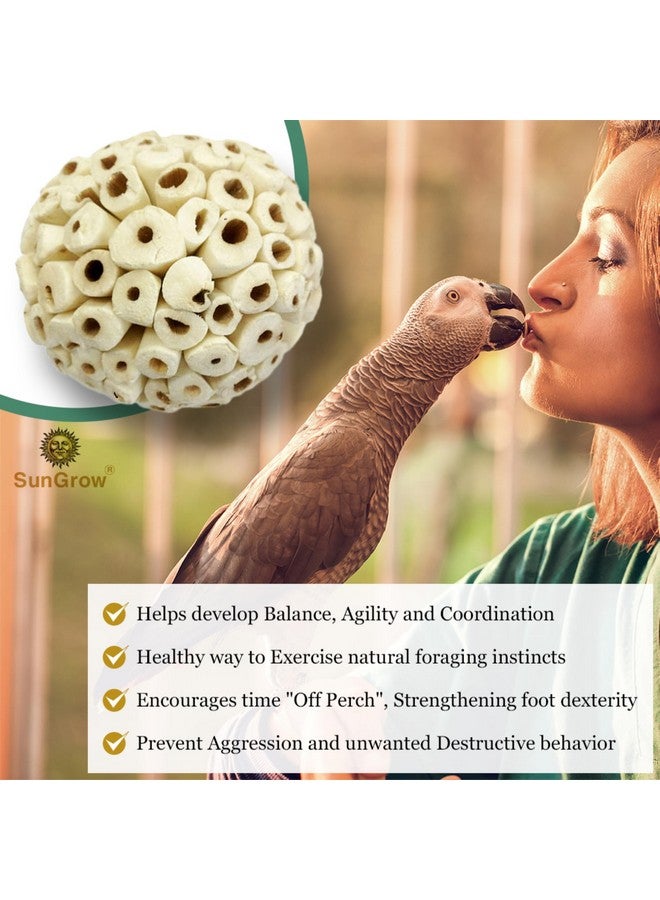 SunGrow Sola Atta Foraging Balls, 2”, White Soft Shred Parrot Chews, Bird Chewing Accessories For Conure, Budgie, Parakeet, Cockatiel, Rabbits, Hamsters, And Small Pets, 3 Pcs/Pack - Image 3