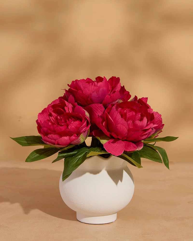 REDTAG Maroon Artificial Peony In Vase (24H x 21 cm)