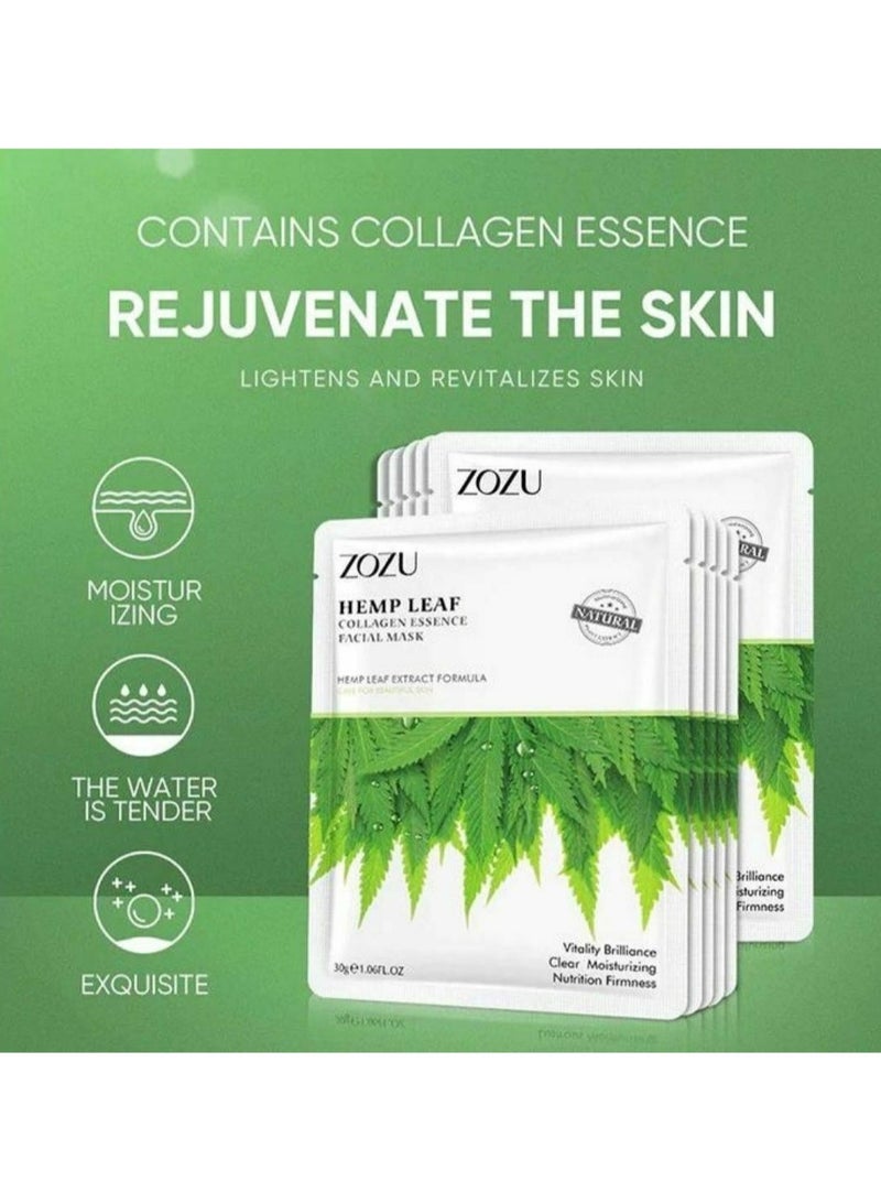 Skin Care Moisturizing Fruit Face Sheet Mask  - Image 1