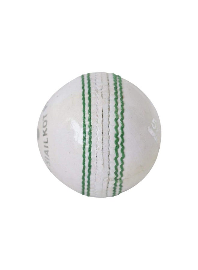 CA Cricket Ball Small - Image 2