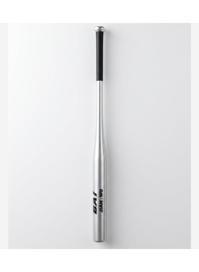 Steel Baseball Bat Professional Heavy Duty Metal Bat for Training Practice and Outdoor Play - Image 1