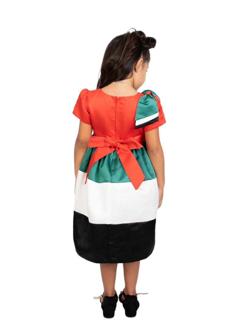 D'Daniela Color Blocked Dress - Image 4