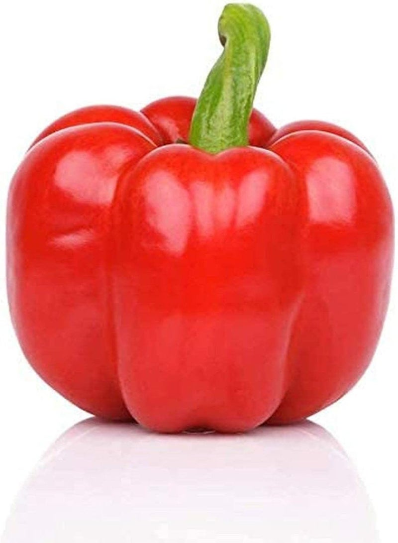 جي جوت 200 قطعة من بذور الفلفل الحلو المتنوعة، خضراوات خضراء صحية ملونة، بذور فلفل حلو معمرة، سهلة الزراعة في الفناء الخارجي - Image 2
