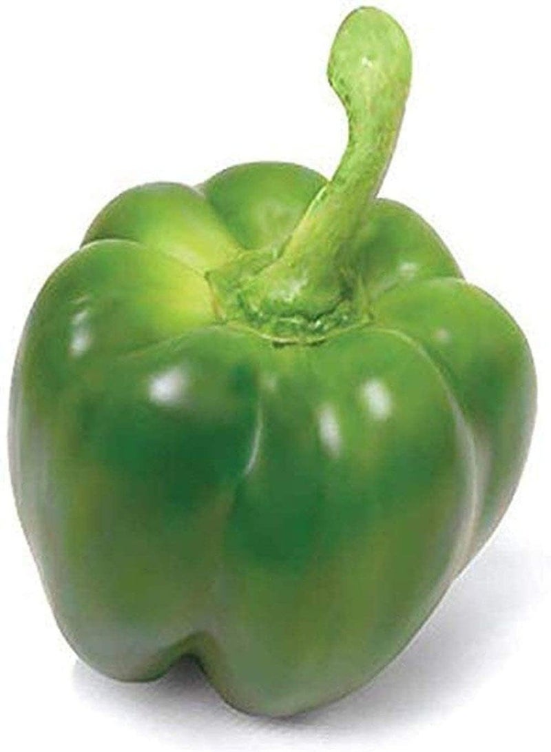 جي جوت 200 قطعة من بذور الفلفل الحلو المتنوعة، خضراوات خضراء صحية ملونة، بذور فلفل حلو معمرة، سهلة الزراعة في الفناء الخارجي - Image 5