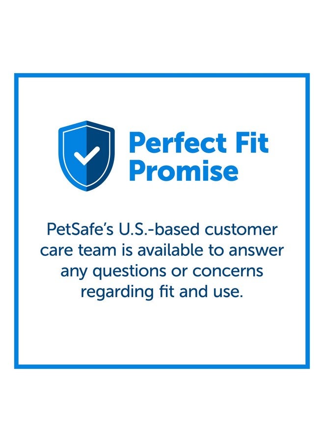 بيت سيف طوق مارتينجال للكلاب من بيت سيف مع مشبك سريع الإغلاق - كبير، 2.54 سم، بنفسجي غامق - Image 5