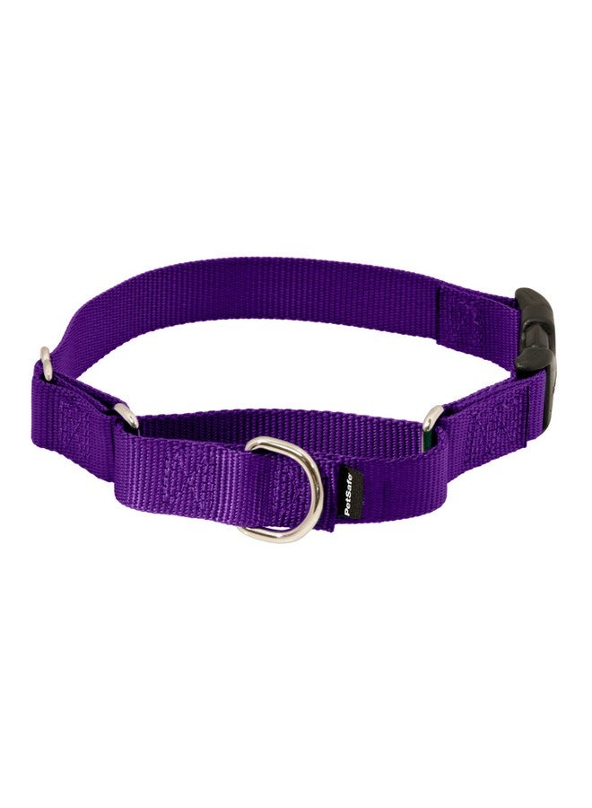 بيت سيف طوق مارتينجال للكلاب من بيت سيف مع مشبك سريع الإغلاق - كبير، 2.54 سم، بنفسجي غامق - Image 1