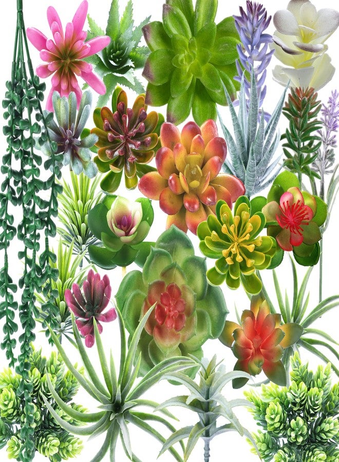 COTSEN 25 Pcs Artificial Succulent Plants Fake Succulents Assorted Unpotted Suitable for Office Garden Interior Decor - Image 1