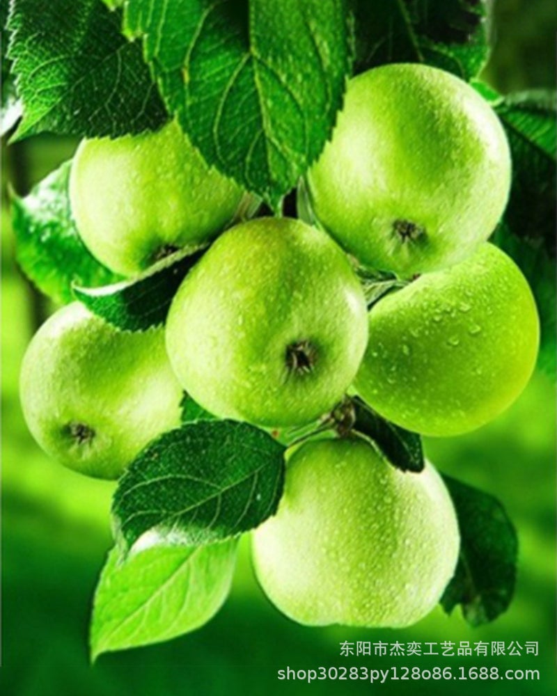 5D Diamond Painting Cross Stitch Full Diamond Living Room New Modern European Oil Painting Restaurant Porch Fruit Green Apple Diy - Image 4