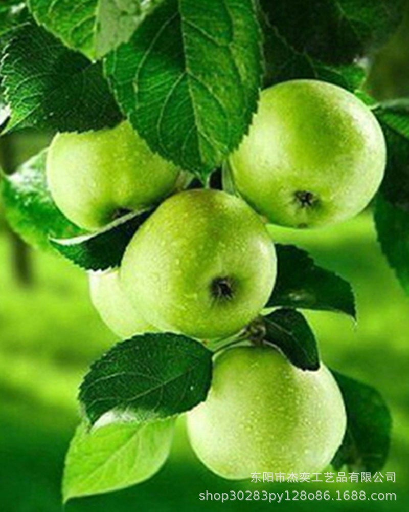 5D Diamond Painting Cross Stitch Full Diamond Living Room New Modern European Oil Painting Restaurant Porch Fruit Green Apple Diy - Image 3