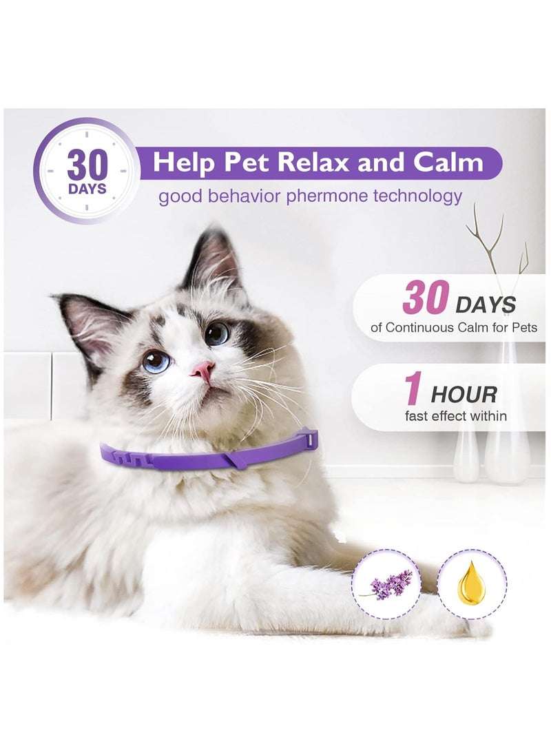 Furtey - 3 Pack Calming Collar for Cats and Kittens Pheromone Collar Efficient Relieve Reduce Anxiety Stress Pheromones Calm Relaxing Comfortable Breakaway Collars Adjustable for Small, Medium Large Cat - Image 1