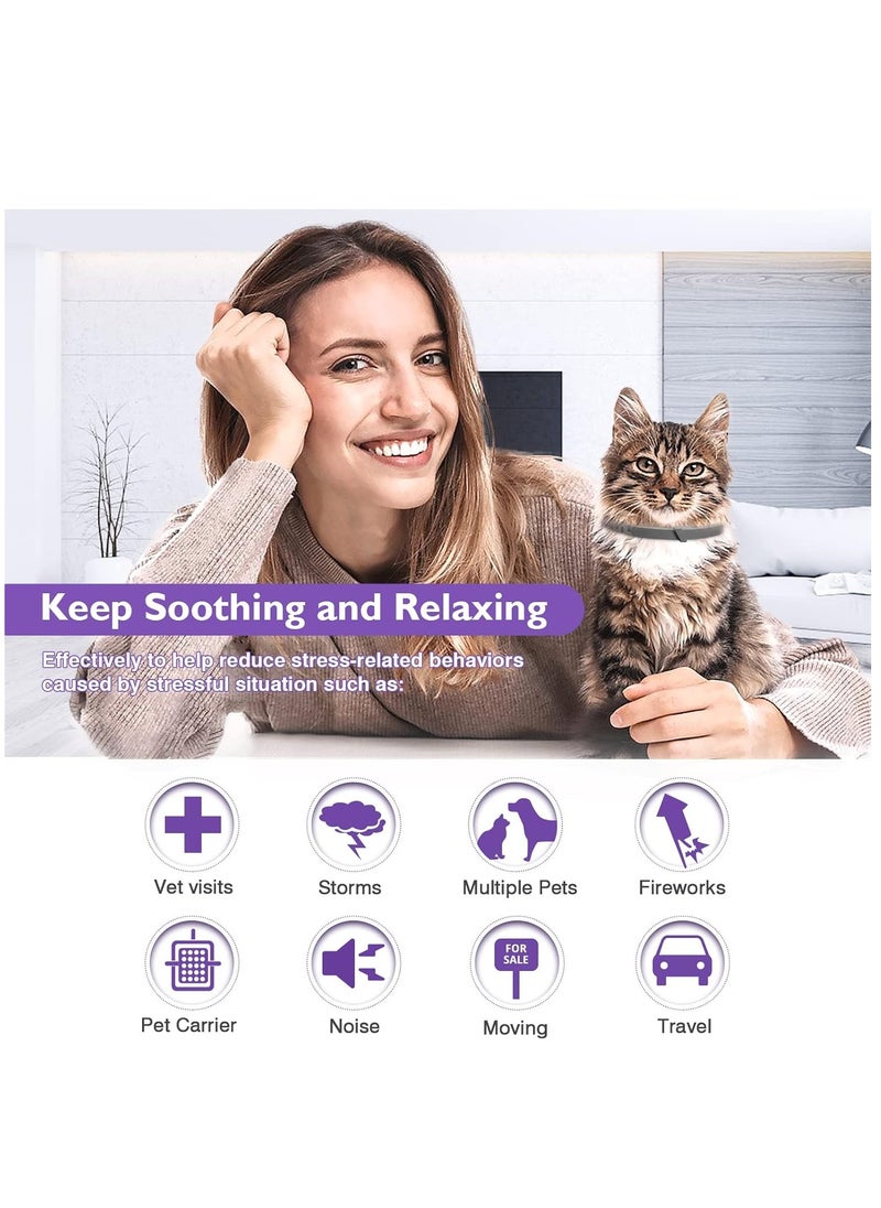 Furtey - 3 Pack Calming Collar for Cats and Kittens Pheromone Collar Efficient Relieve Reduce Anxiety Stress Pheromones Calm Relaxing Comfortable Breakaway Collars Adjustable for Small, Medium Large Cat - Image 1