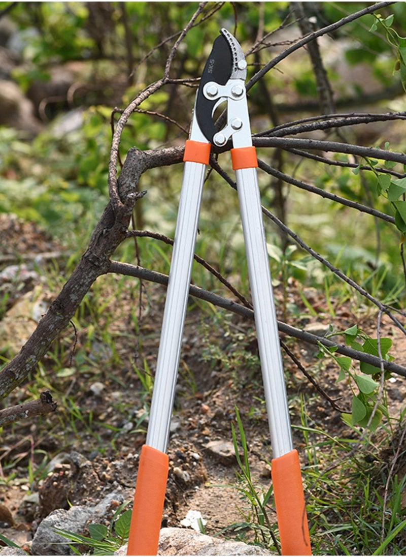 Generic - Professional Gardening Pruning Lopper, Ratchet Loppers, Secateurs Gardening Tool Kit, for Cutting Thick Branches Plants Tree - Image 1