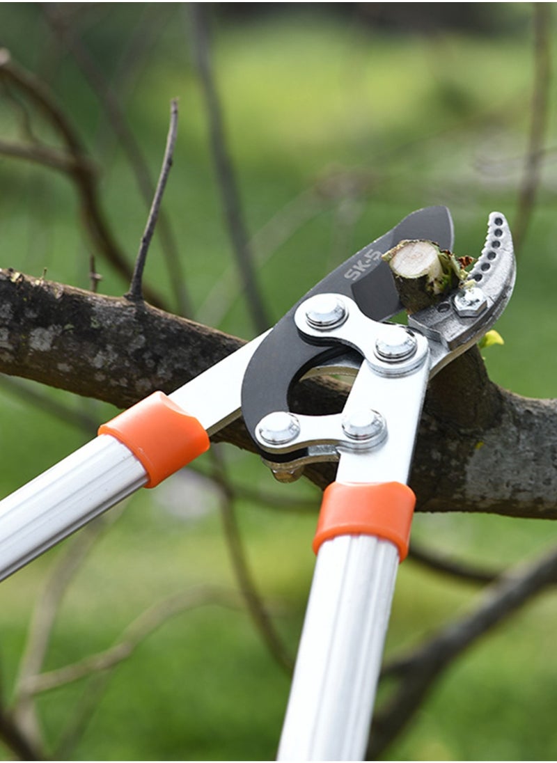Generic - Professional Gardening Pruning Lopper, Ratchet Loppers, Secateurs Gardening Tool Kit, for Cutting Thick Branches Plants Tree - Image 1