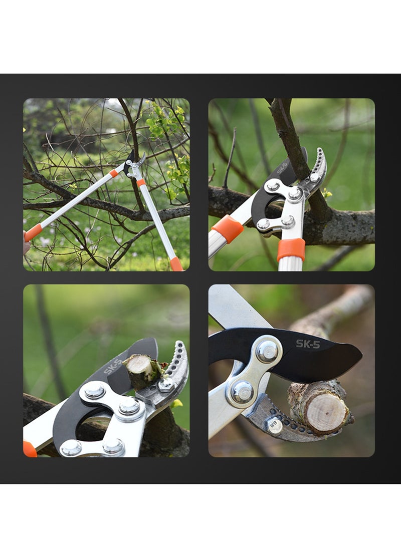 Generic - Professional Gardening Pruning Lopper, Ratchet Loppers, Secateurs Gardening Tool Kit, for Cutting Thick Branches Plants Tree - Image 1