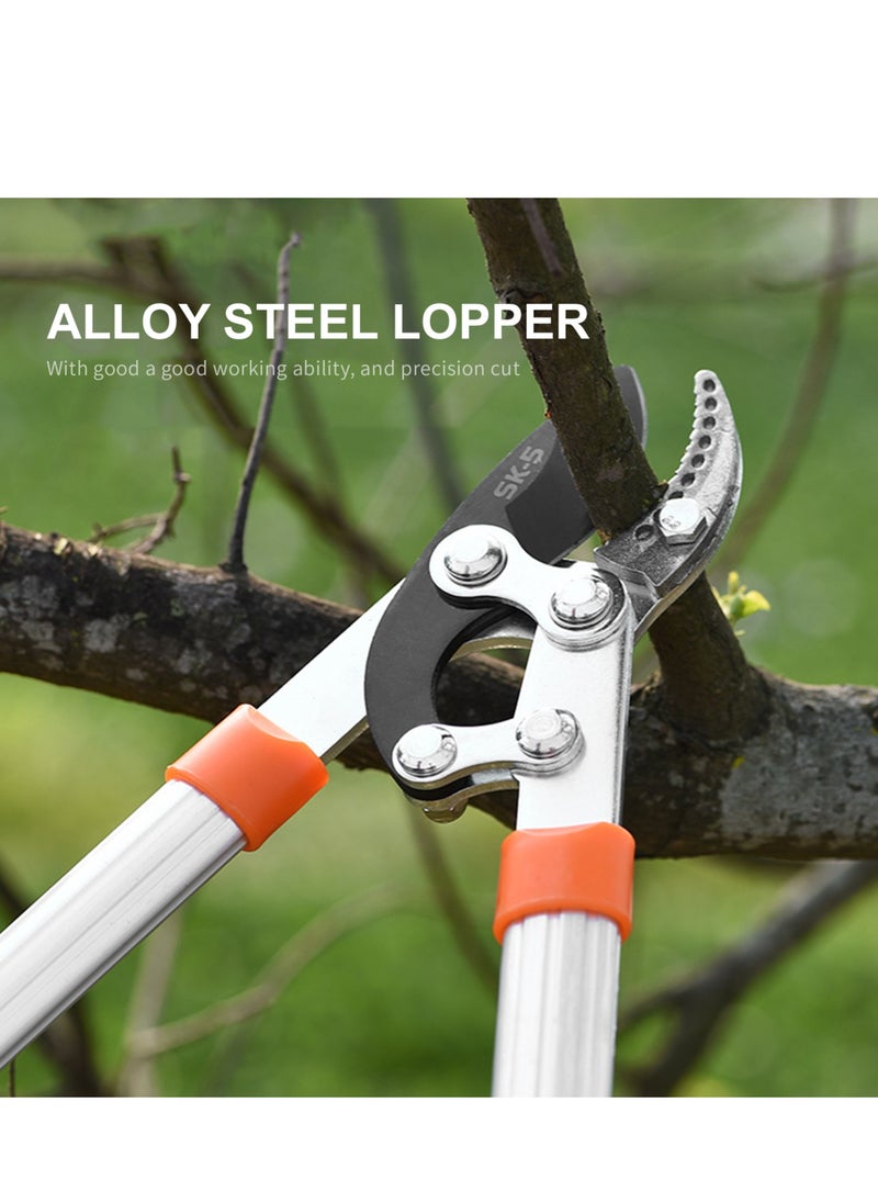 Generic - Professional Gardening Pruning Lopper, Ratchet Loppers, Secateurs Gardening Tool Kit, for Cutting Thick Branches Plants Tree - Image 1