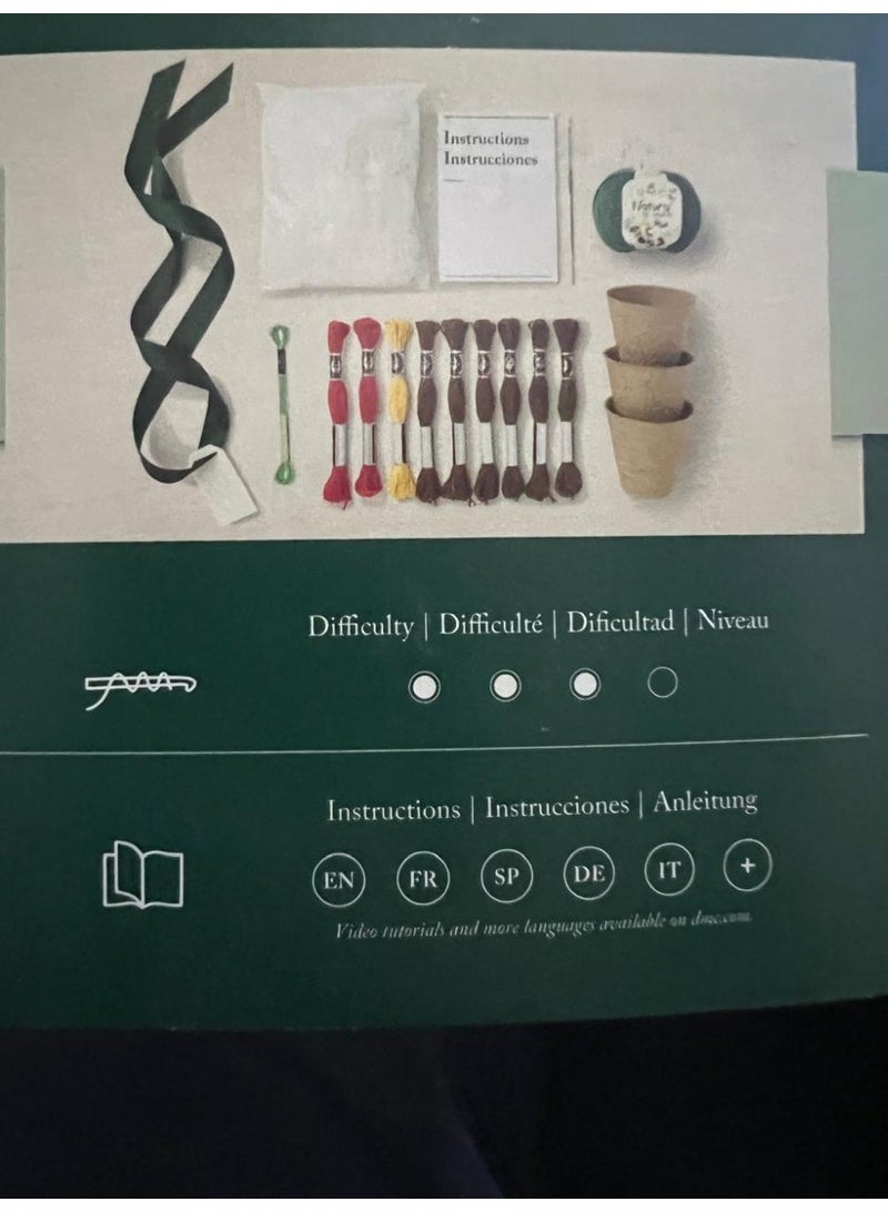 DMC Cactus Crochet Kit - Image 5