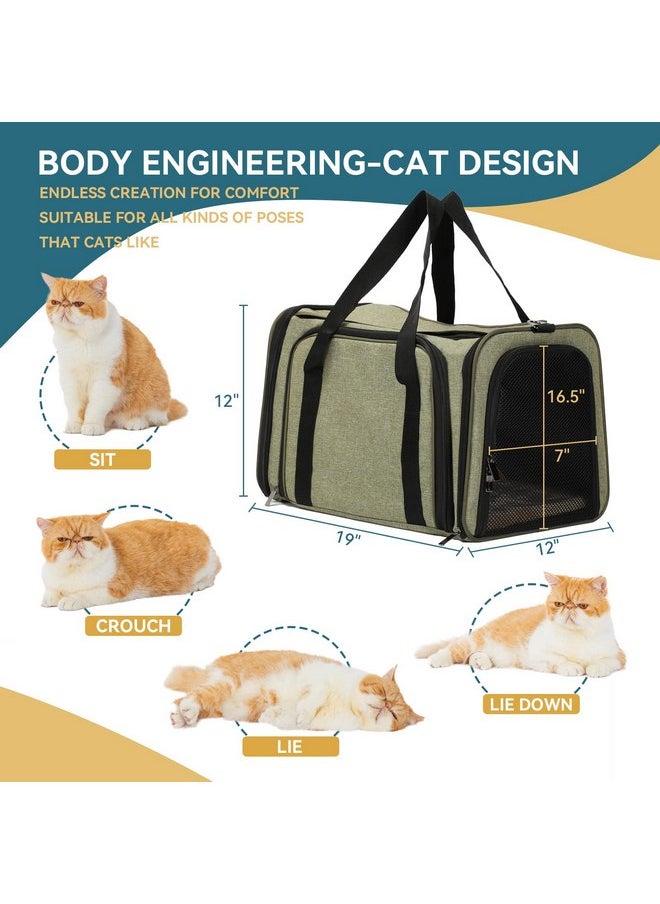 Petsfit Petsfit Top Load Expandable Dog Carrier for Small Dog, Medium Cat, Or 2 Small Cats with Comfy Pad, Escape Proof, Easy Storage, Washable, Fit for Vet Visit and Outdoor, 19"X12" X12", Green  - Image 3