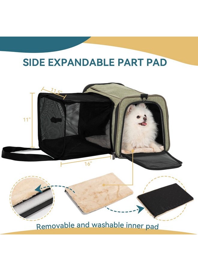 Petsfit Petsfit Top Load Expandable Dog Carrier for Small Dog, Medium Cat, Or 2 Small Cats with Comfy Pad, Escape Proof, Easy Storage, Washable, Fit for Vet Visit and Outdoor, 19"X12" X12", Green  - Image 4