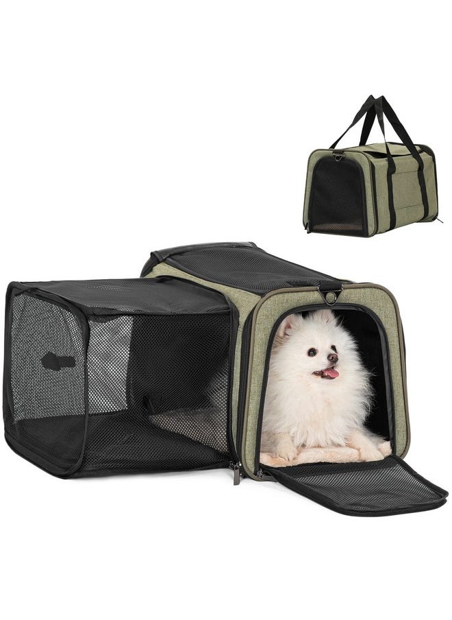 Petsfit Petsfit Top Load Expandable Dog Carrier for Small Dog, Medium Cat, Or 2 Small Cats with Comfy Pad, Escape Proof, Easy Storage, Washable, Fit for Vet Visit and Outdoor, 19"X12" X12", Green  - Image 1
