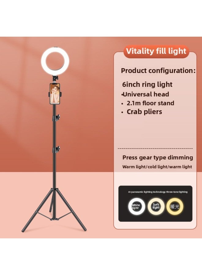 الهاتف المحمول ضوء حي ملء مرساة فنان ماكياج خاص إضاءة الوجه حامل أرضي محمول للتصوير ضوء مستقيم المواصفات: ضوء حلقة 6 بوصة + حامل ثلاثي القوائم على الأرض + فتحة كاميرا واحدة - Image 1