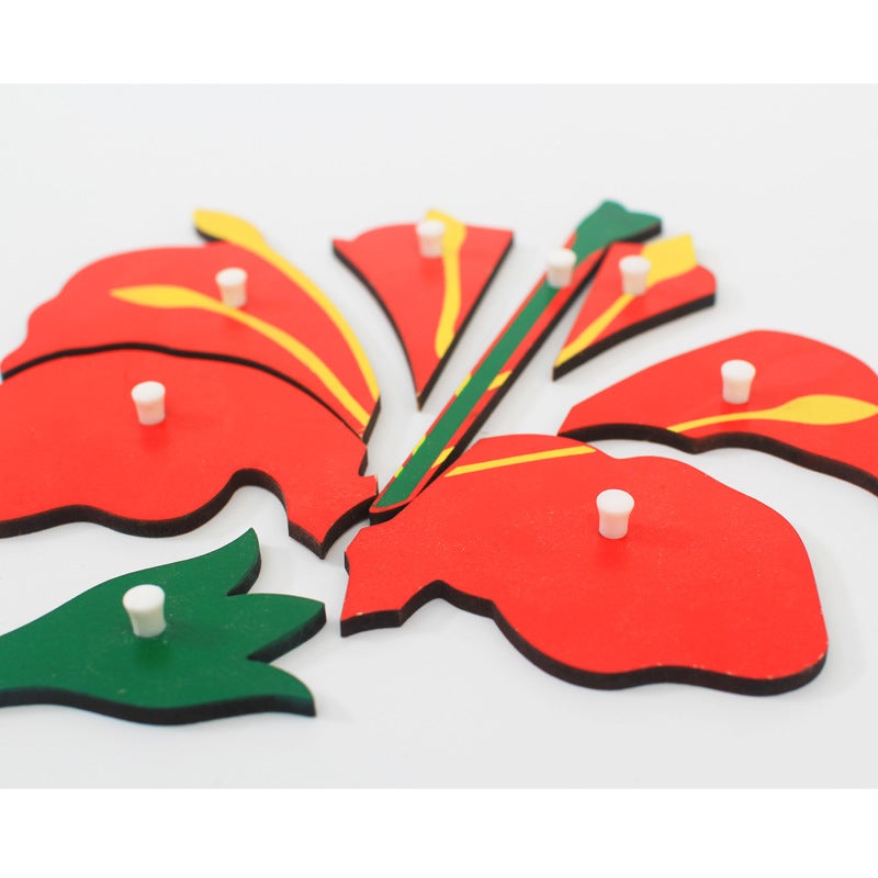 Montessori Teaching Aids Animal And Plant Panel Jigsaw Puzzle Toys Children'S Early Education Puzzle Hand-Held Board Shape Cognition - Image 3