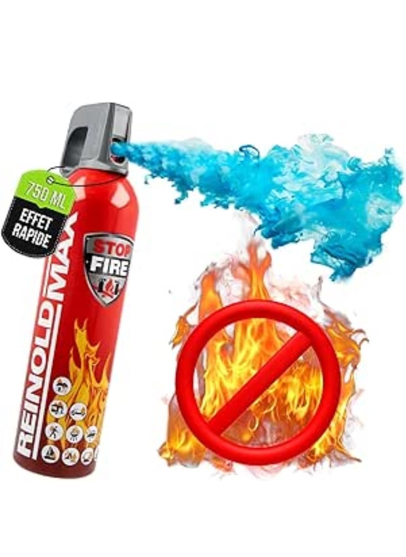REINOLD MAX Small Car Fire Extinguisher Foam Spray 750ml European Made  - Image 2