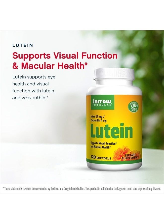 jarrow formulas Lutein 20 mg with 4 mg Zeaxanthin - 120 Softgels - Supports Eye & Macular Health & Visual Function - Dietary Supplement - 120 Servings  - Image 3