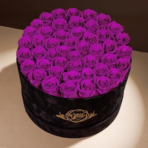 Prifroti 47 Flowers in a Luxury Suede Box, Birthday Gifts for Women, Preserved Flowers, Mothers Day Roses Gift for Mom, Bossy Pink - Image 2
