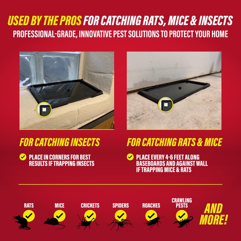 Catchmaster Rat & Mouse Glue Traps with Sticky Putty 2Pk, Large Bulk Glue Board, Rat & Mouse Traps Indoor for Home, Adhesive Plastic Tray for Snakes, Mice & Spiders, Pest Control for House & Garage - Image 4
