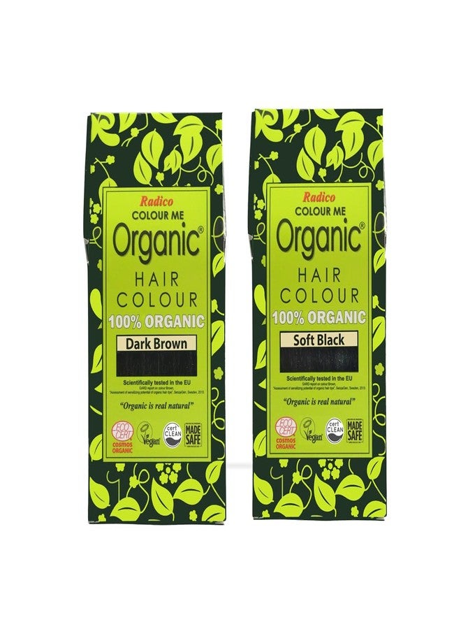 Radico 100% Organic Ammonia free chemical free hair color (Dark Brown & soft black) - Image 1