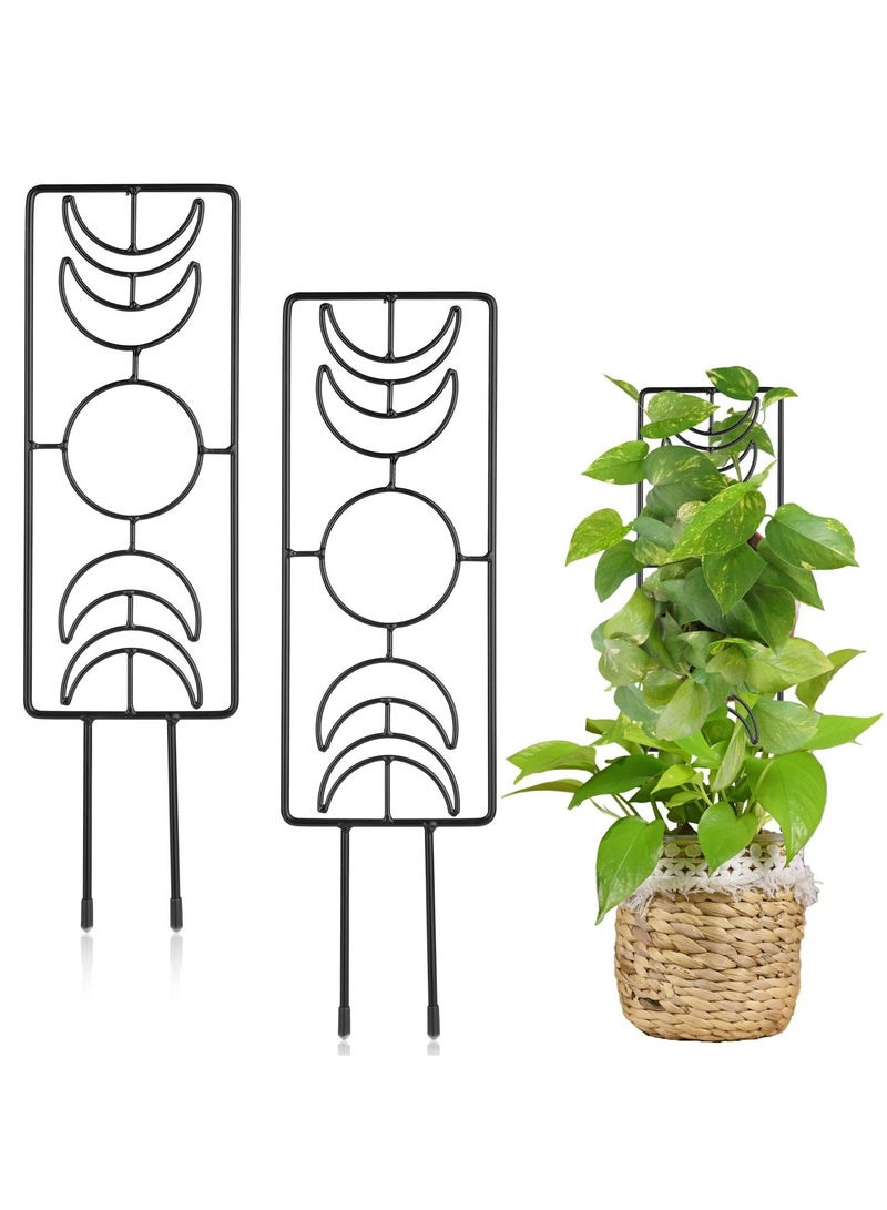 SOLARAE 2 PCS Plant Trellis, Metal Garden Trellis Plant Supports Indoor for Pots, Metal Supports for Rose Vines, Climbing Plants, Flower, Outdoor Patio Lawn Yard Decoration 36x10cm - Image 1