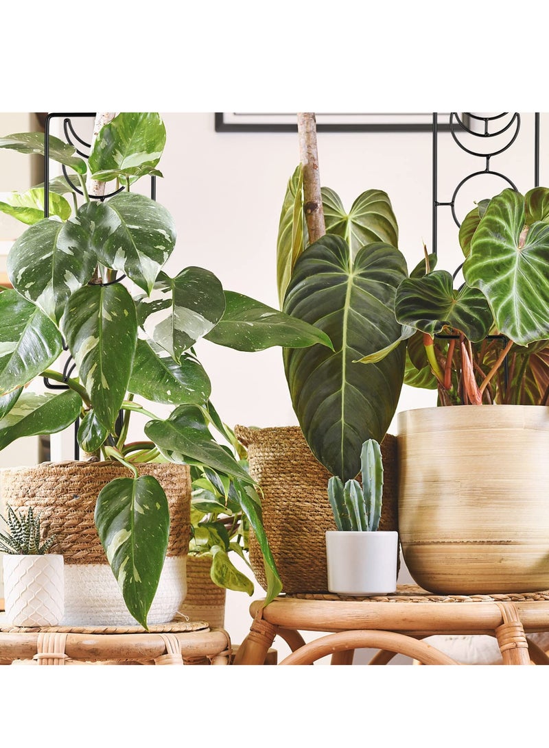 SOLARAE 2 PCS Plant Trellis, Metal Garden Trellis Plant Supports Indoor for Pots, Metal Supports for Rose Vines, Climbing Plants, Flower, Outdoor Patio Lawn Yard Decoration 36x10cm - Image 3