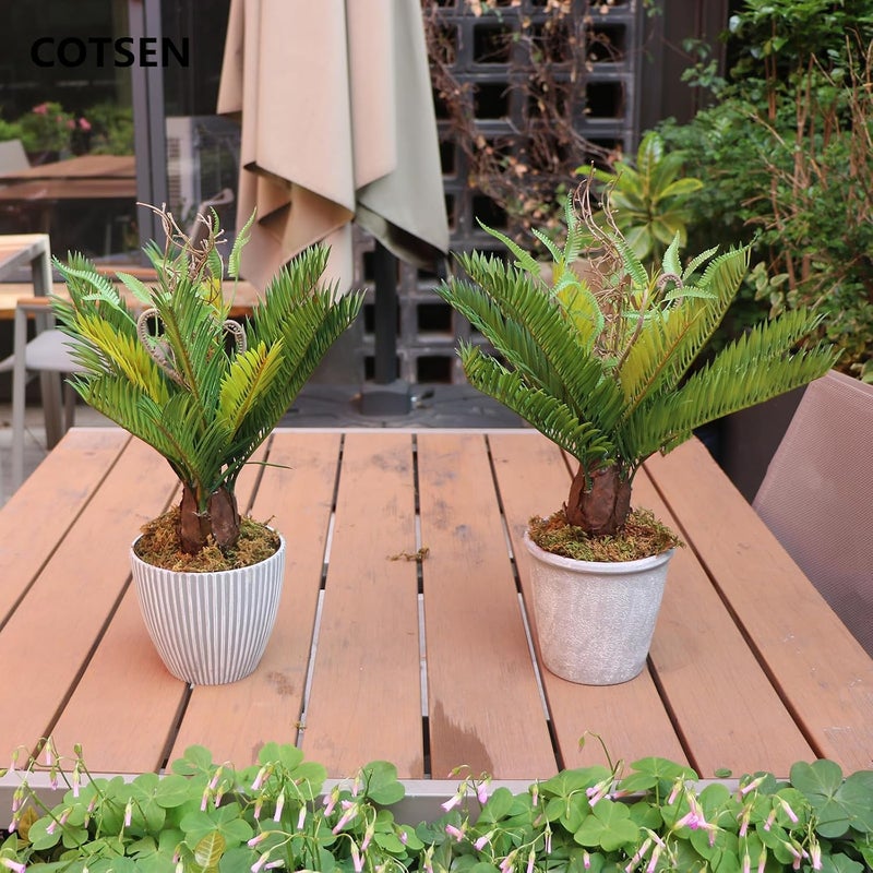 COTSEN 2 Pcs Artificial Cycad Plants 13.8 inch Artificial Succulents Fake Succulents Unpotted for Family Office Decor - Image 4