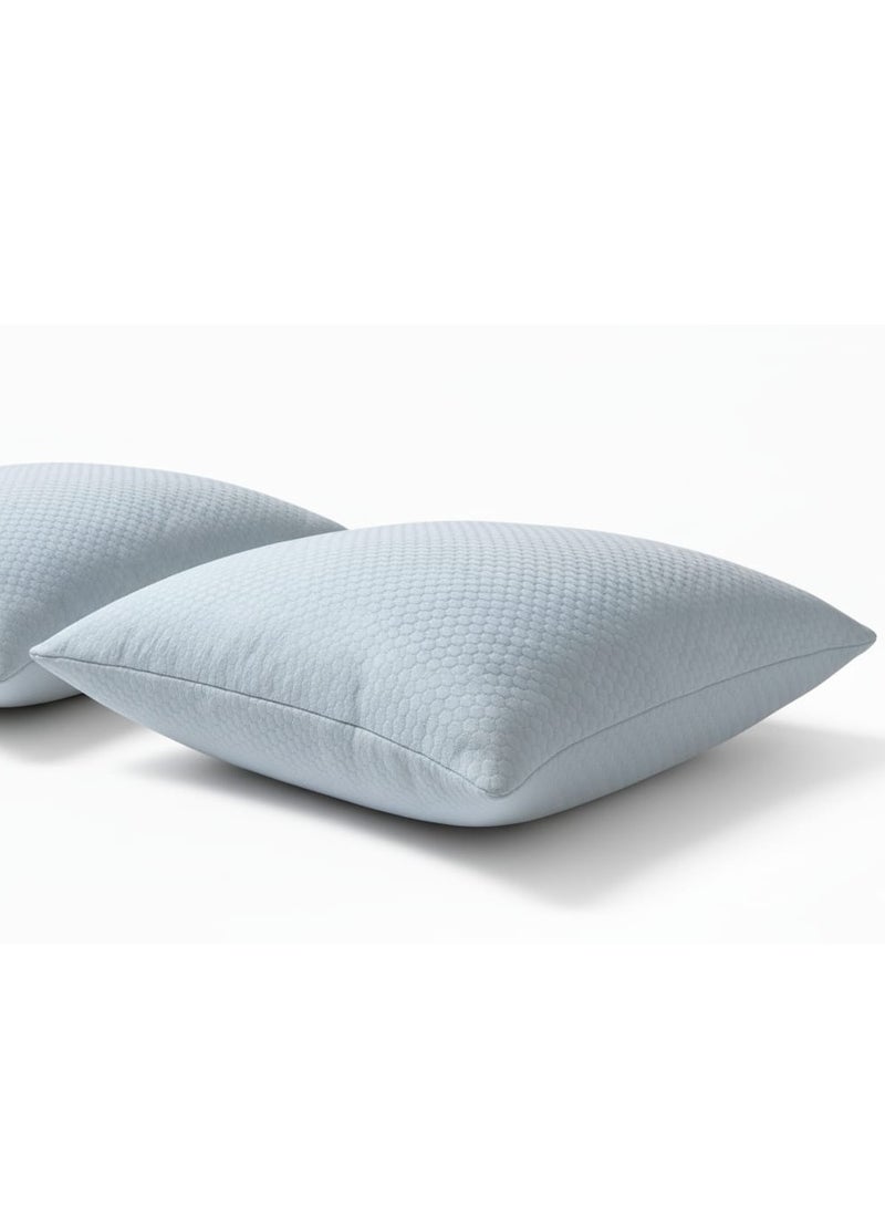 اي ديد واقي مخدة فاخر ومبطن ضد الماء - ناعم جداً ومسامي، 100% صامت، غطاء مضاد للحساسية ومضاد لحشرات الفراش مع سحاب آمن 50سم70xسم - Image 1